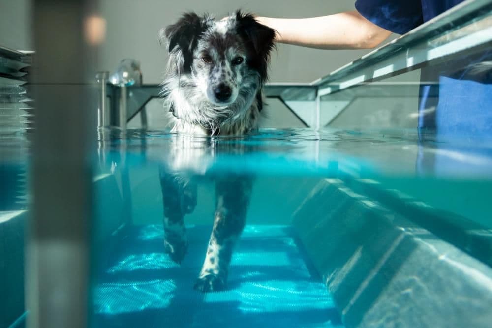 Physiotherapie Symbolbild