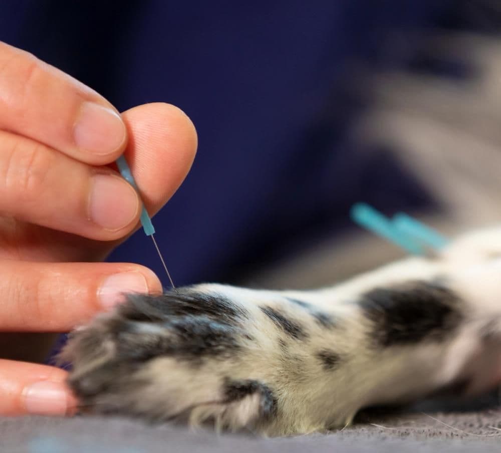 Komplementärmedizin Symbolbild